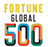 1/3 財富500強企業